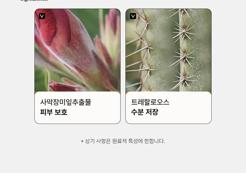 [여행용 키트 증정기획] 더샘 클래식 옴므 스페셜 2종 세트 상세페이지 18